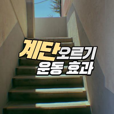 계단오르기운동효과