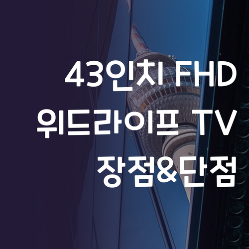 위드라이프 43인치 FHD TV 구매..
