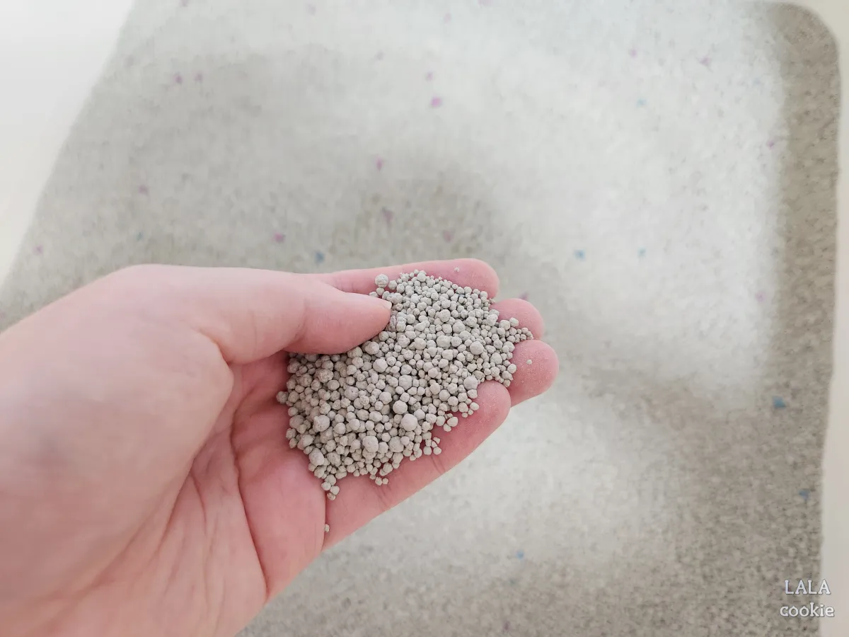 가성비-좋은-고양이-모래-탐사-벤토나이트-모래-입자