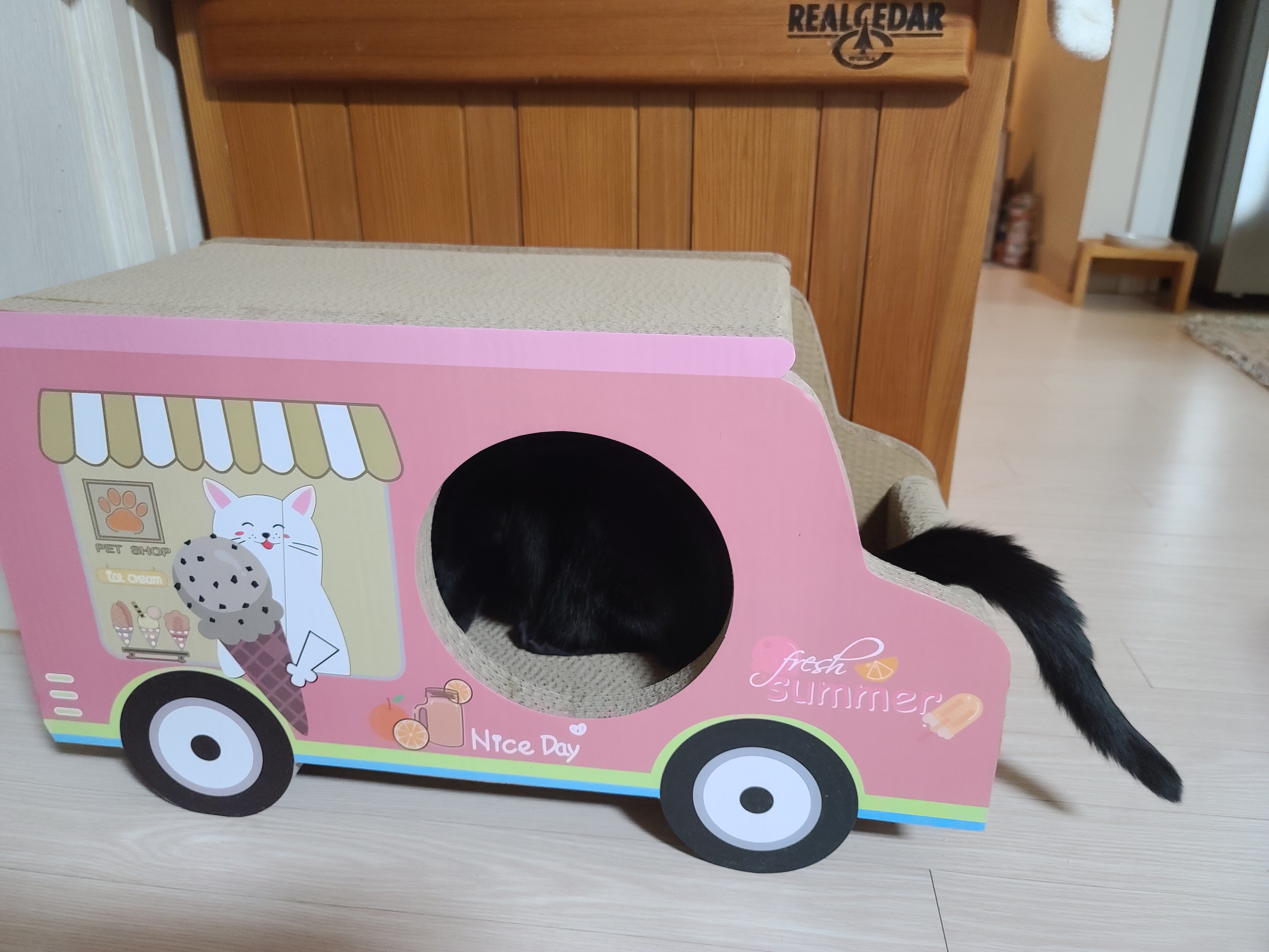 고양이들 스크래쳐를 교체했다.(자동차스크래쳐,침대형스크래쳐)