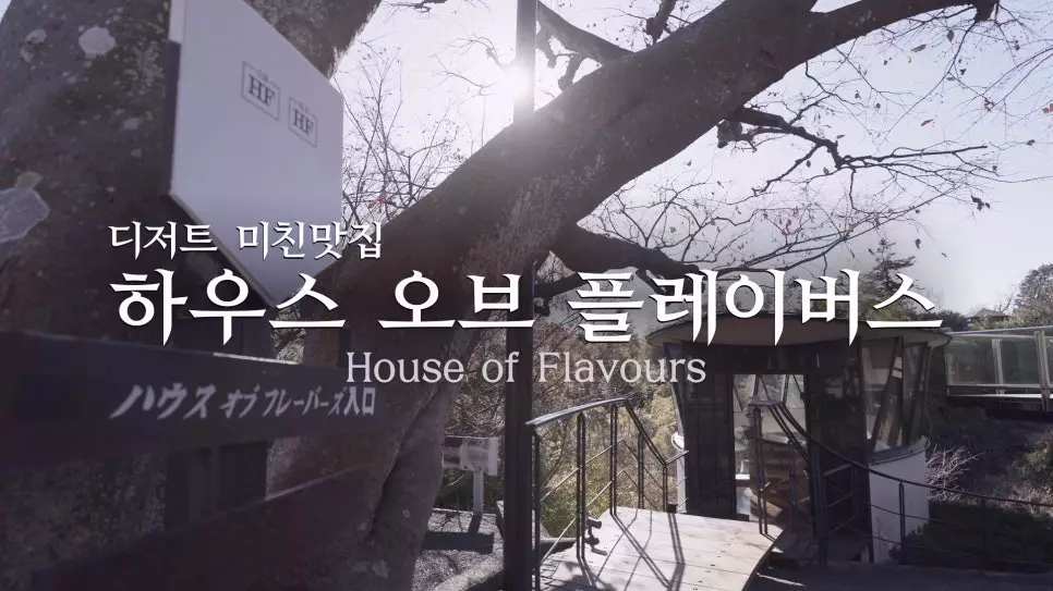 일본 치즈케이크