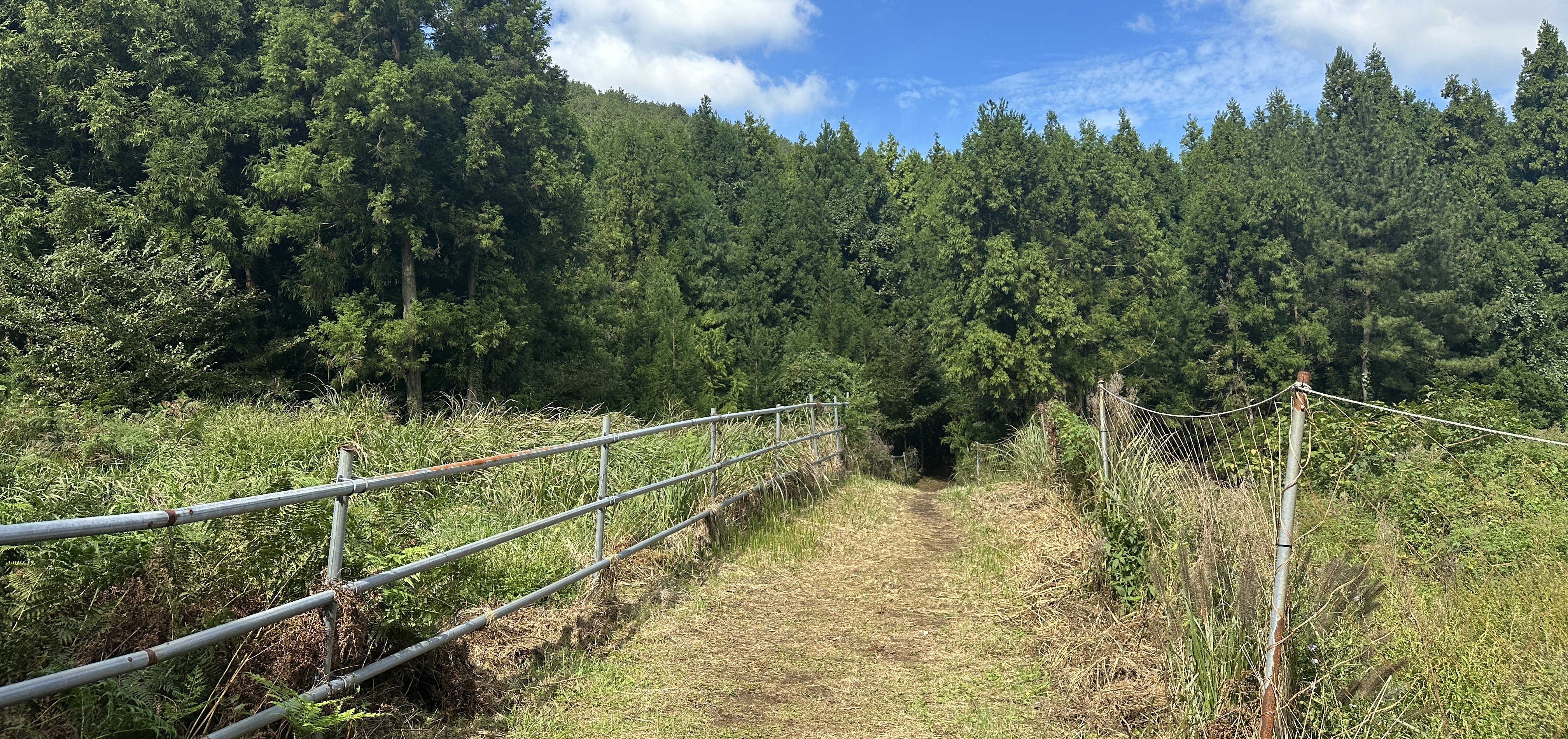 안돌오름 탐방로