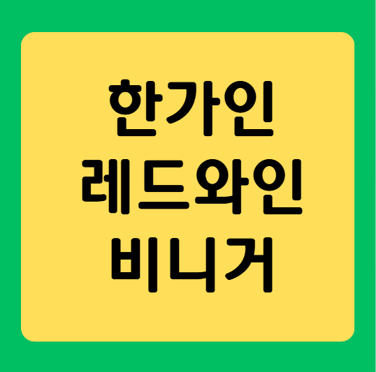 한가인이 먹는 레드와인 비니거 효능과 먹는 법 총정리
