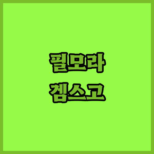 브이로그 편집 필수템! 필모라 겜스고