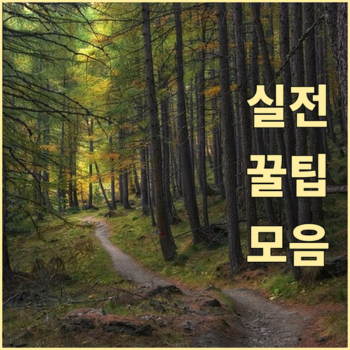 헷갈리는 공릉동 쓰레기 배출? 종류별..