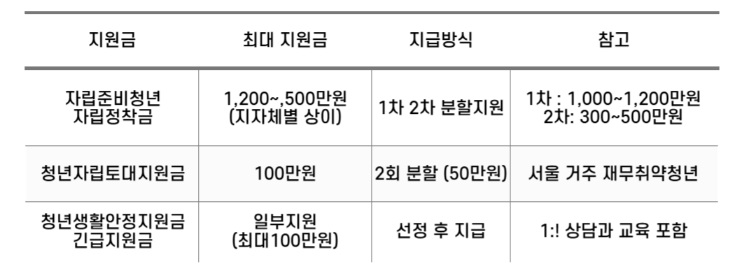 청년자립
