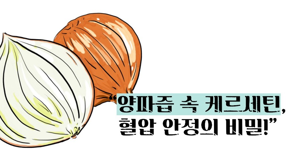 양파즙 효능 고혈압