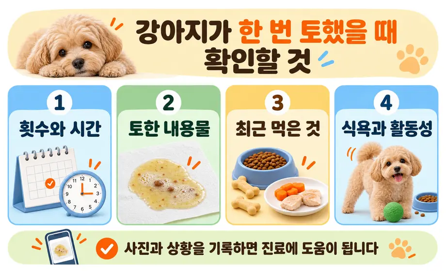 강아지가 한 번 토했을 때 확인할 횟수 내용물 음식 활동성 체크리스트