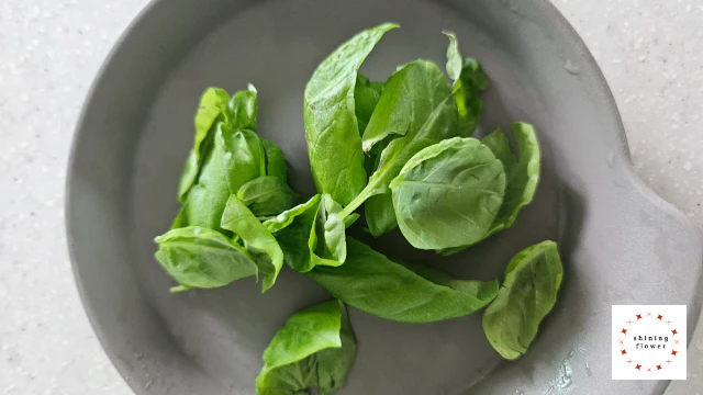 바질페스토-생바질잎 씻어서 준비