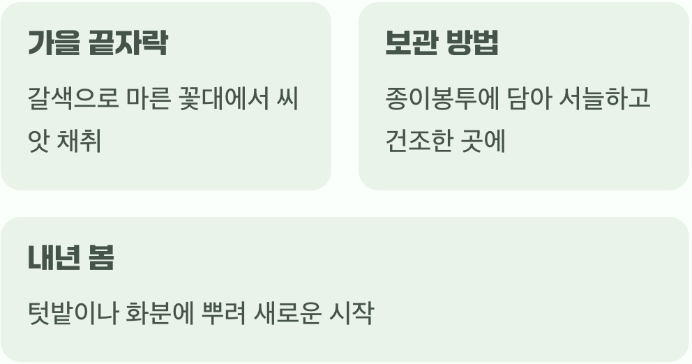 내년의 춤을 약속하는 씨앗 받기