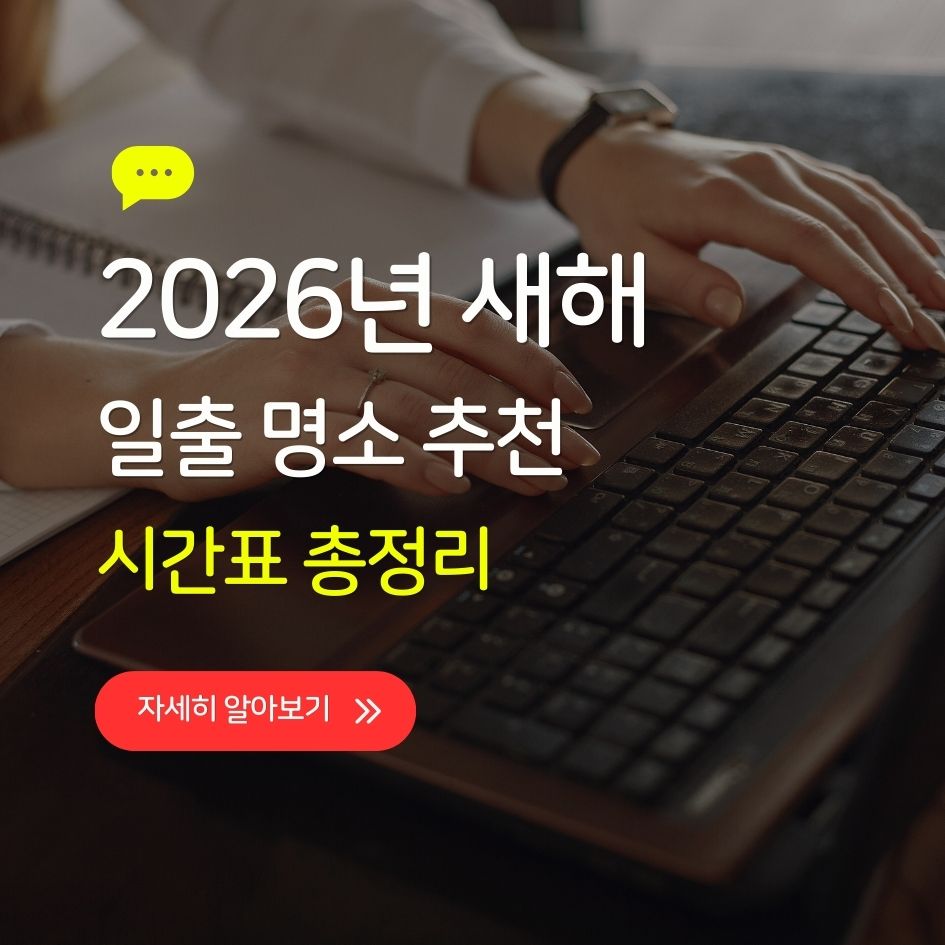 2026 새해 일출 명소 풍경