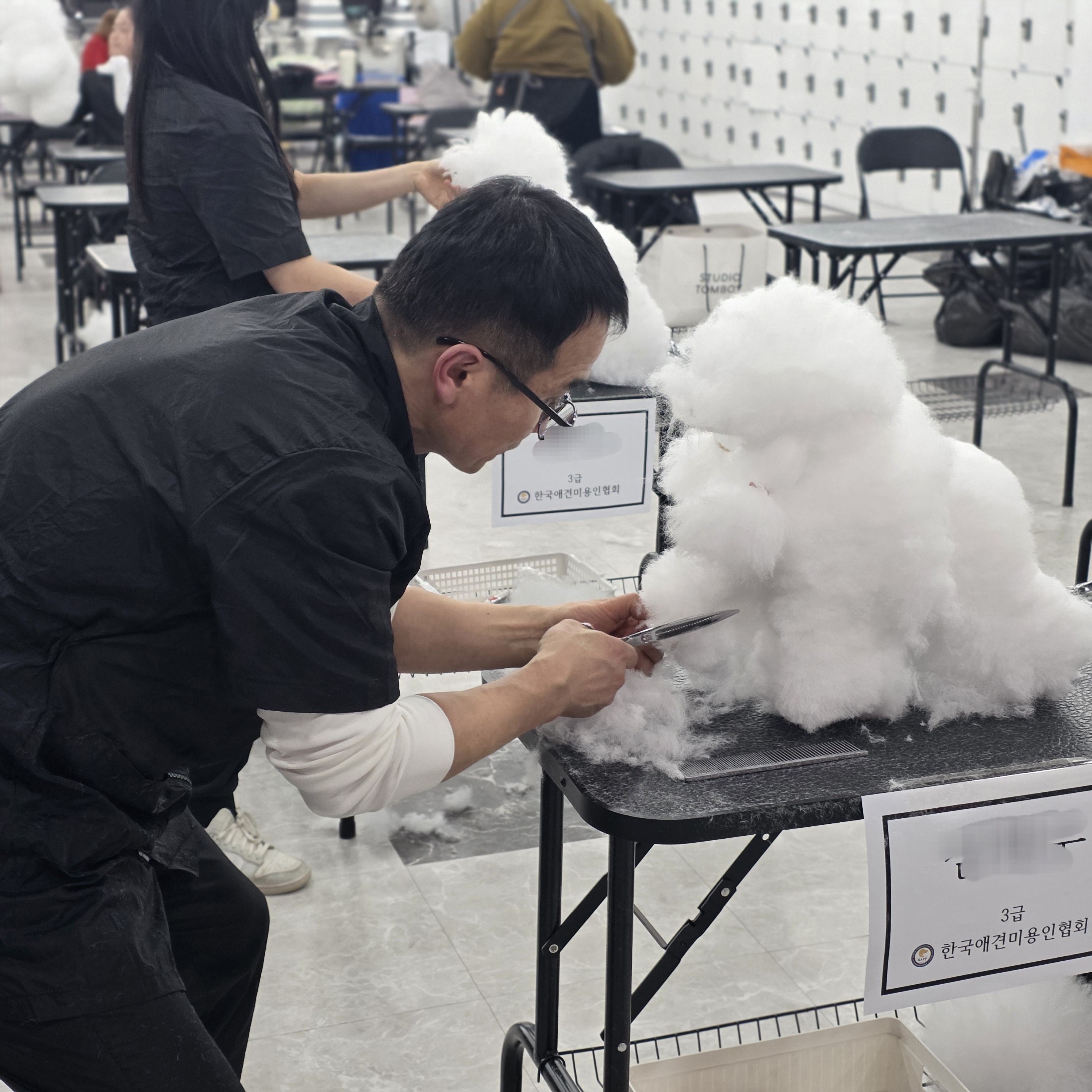 애견미용자격증