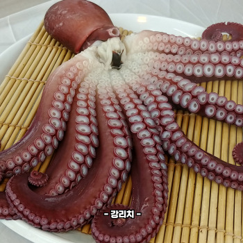 문어숙회 삶는법