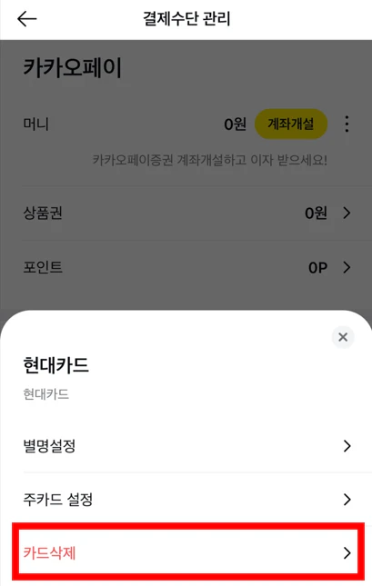 카카오페이 간편결제