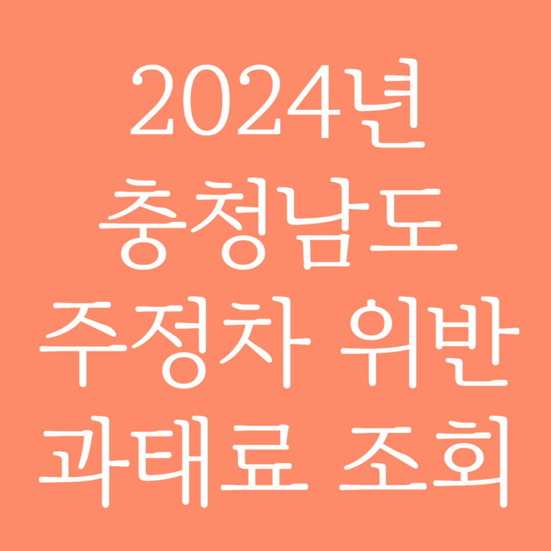 2024년 충청남도 주정차 위반 과태료 조회하기