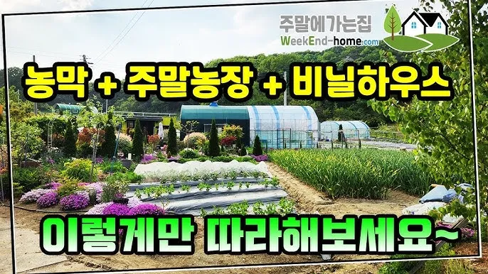 주말농장 시작법 분양 준비물 초보팁 가족과 함께 즐기기_5