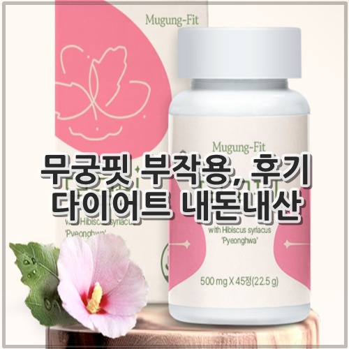 무궁핏 부작용, 후기 다이어트 내돈내산