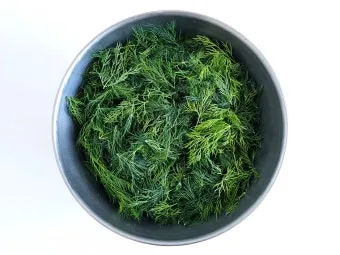 딜 재배 파종 간격 화분 키우기 잎과 씨앗 활용_9