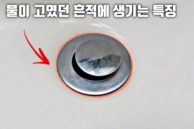 가습기 분홍색 물때 욕실 붉은색 물때 세라티아 마르세센스 세면대 물컵, 생활 건강 팁줌 매일꿀정보