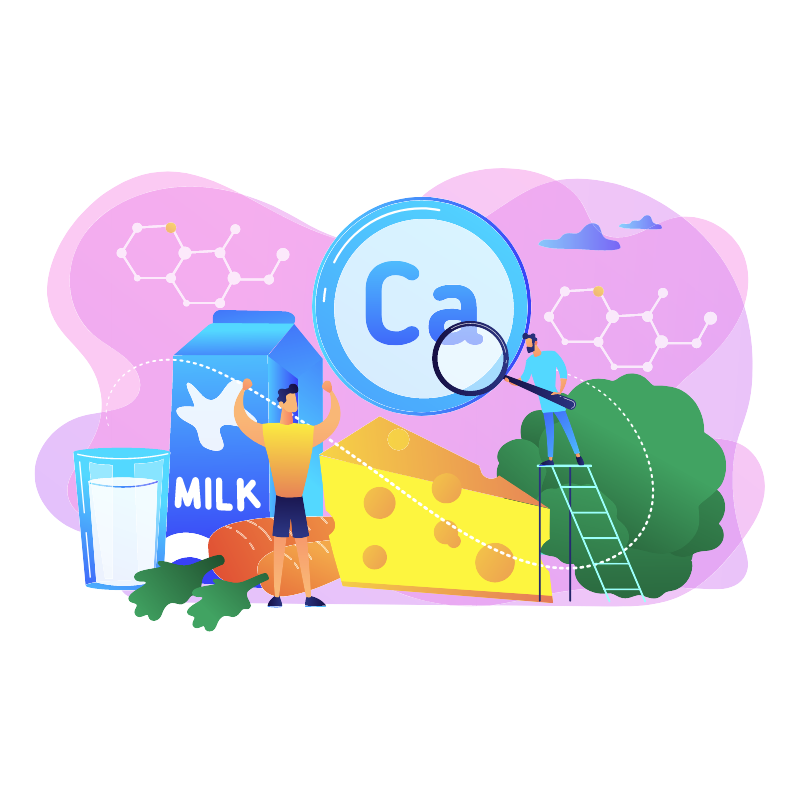 칼슘 많은 음식