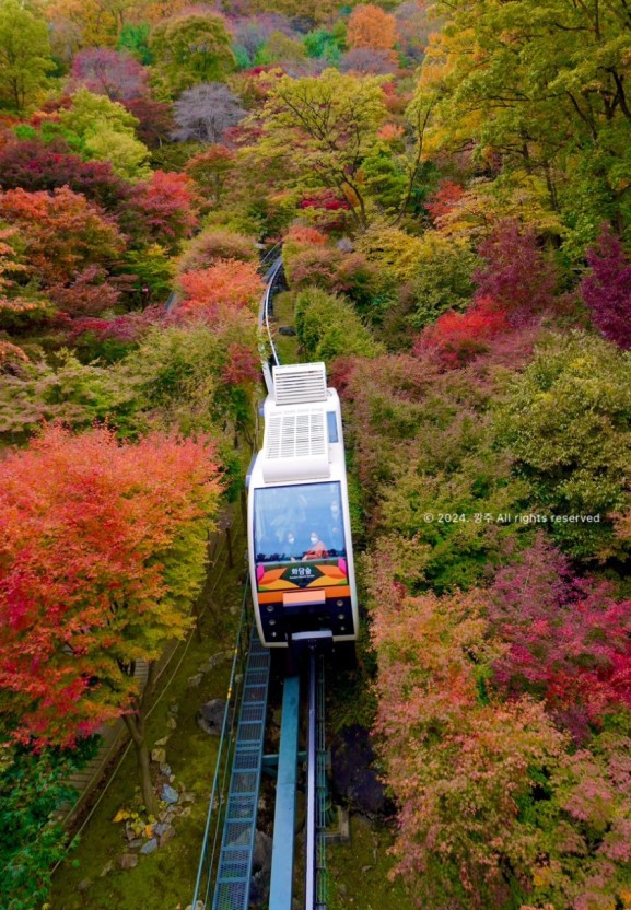 화담숲 모노레일