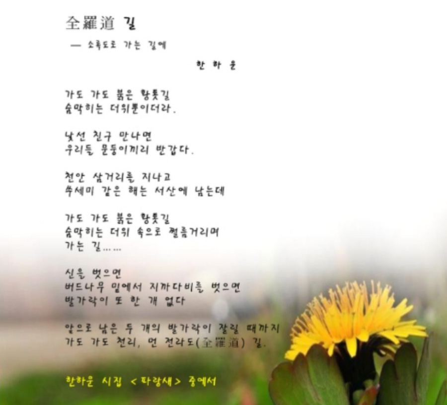 문둥병 환자였던 한하운 시인이 쓴 시집 파랑새 중에서 '전라도 길'이라는 시의 전문을 적은 이미지 사진