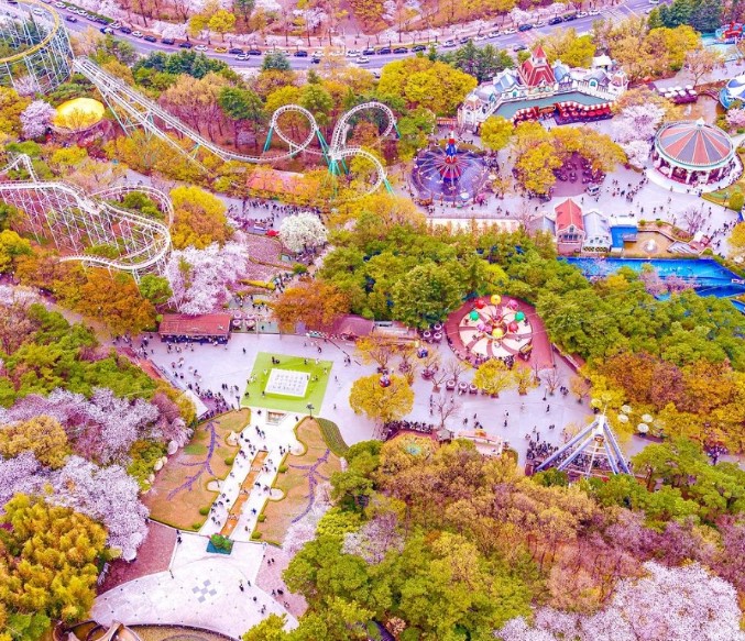 3월 벚꽃 축제