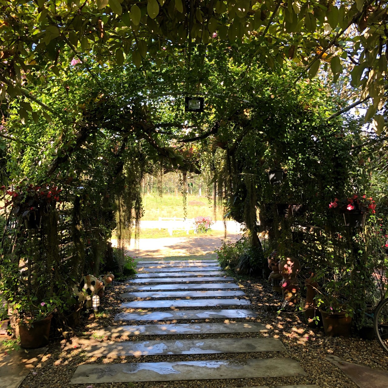 6월 여행가는 달 숙박&amp;#44; 교통 할인 혜택 소개 이미지