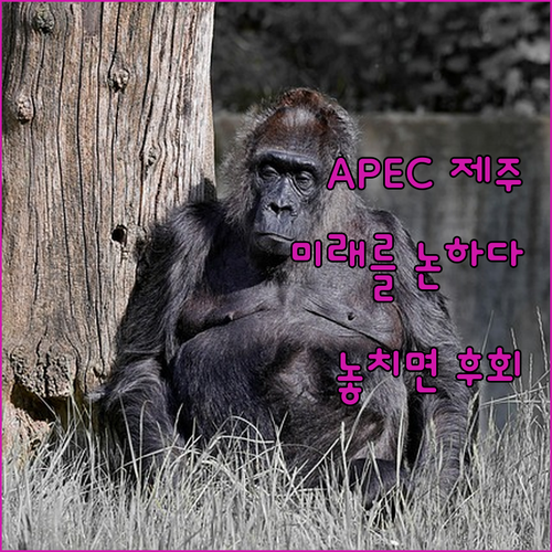 2025 APEC, 제주에서 중소기업