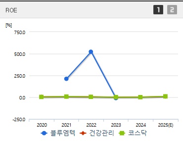 블루엠텍 주가 ROE (0508)
