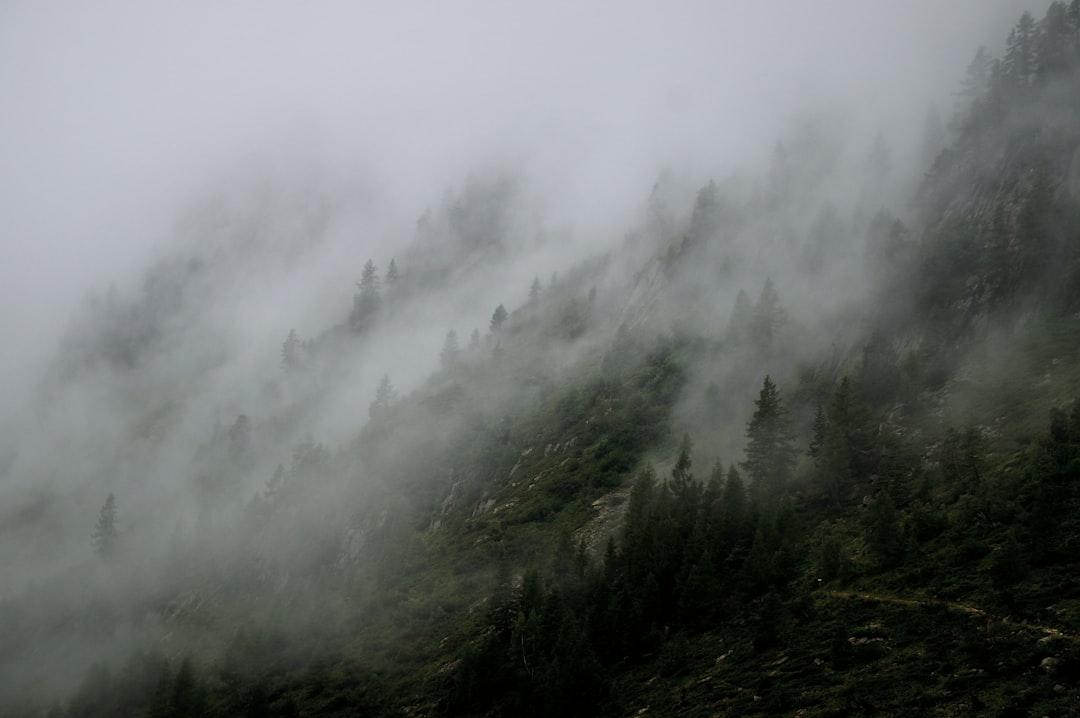 respiration