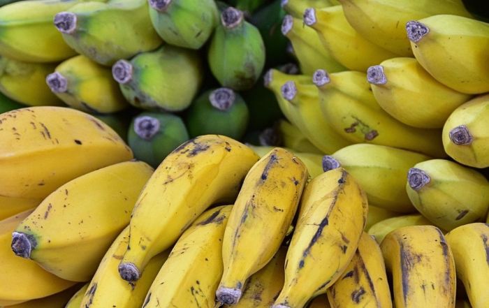 대형 마트에서 진열된 바나나. 할당관세 종료 품목인 열대과일을 상징하는 이미지