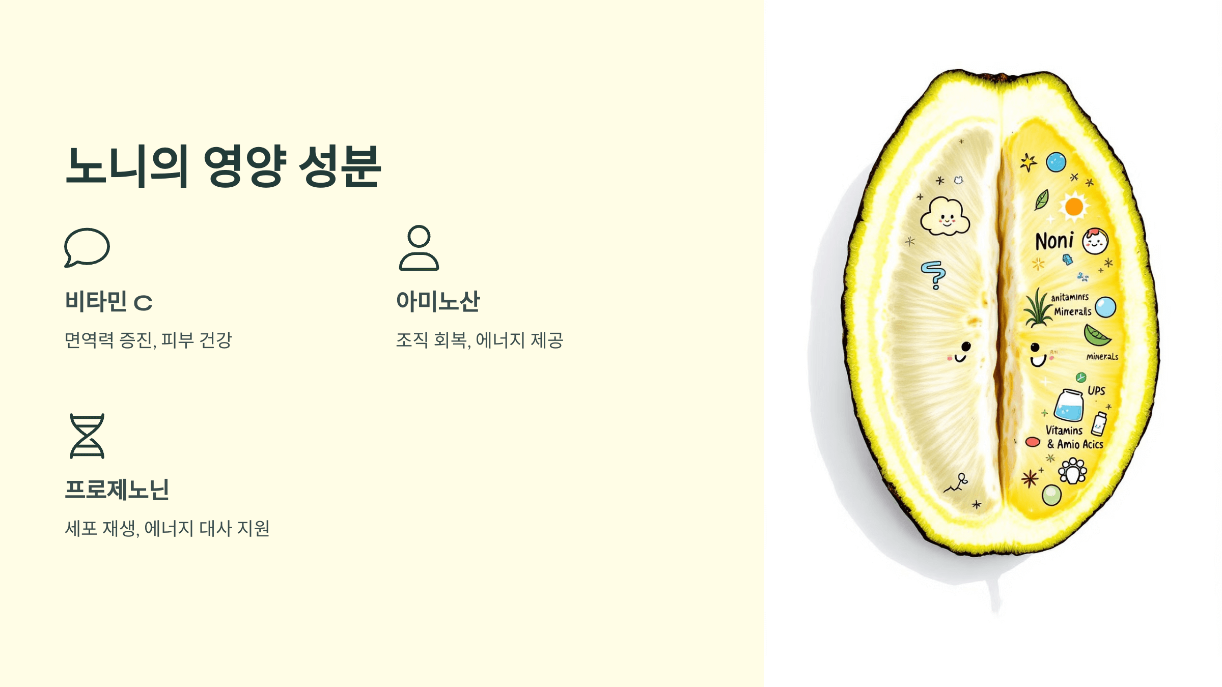 노니 사진입니다.