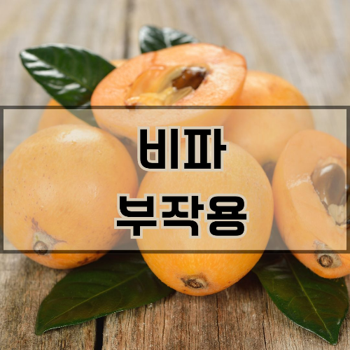 비파 부작용