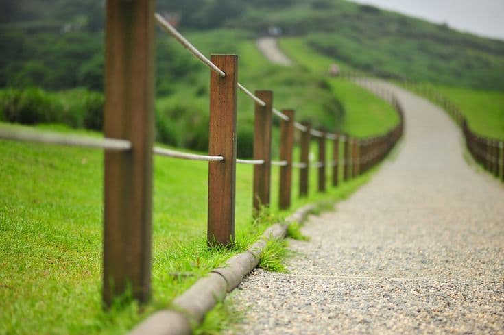 도시와 자연, 왜 이렇게 더운가?