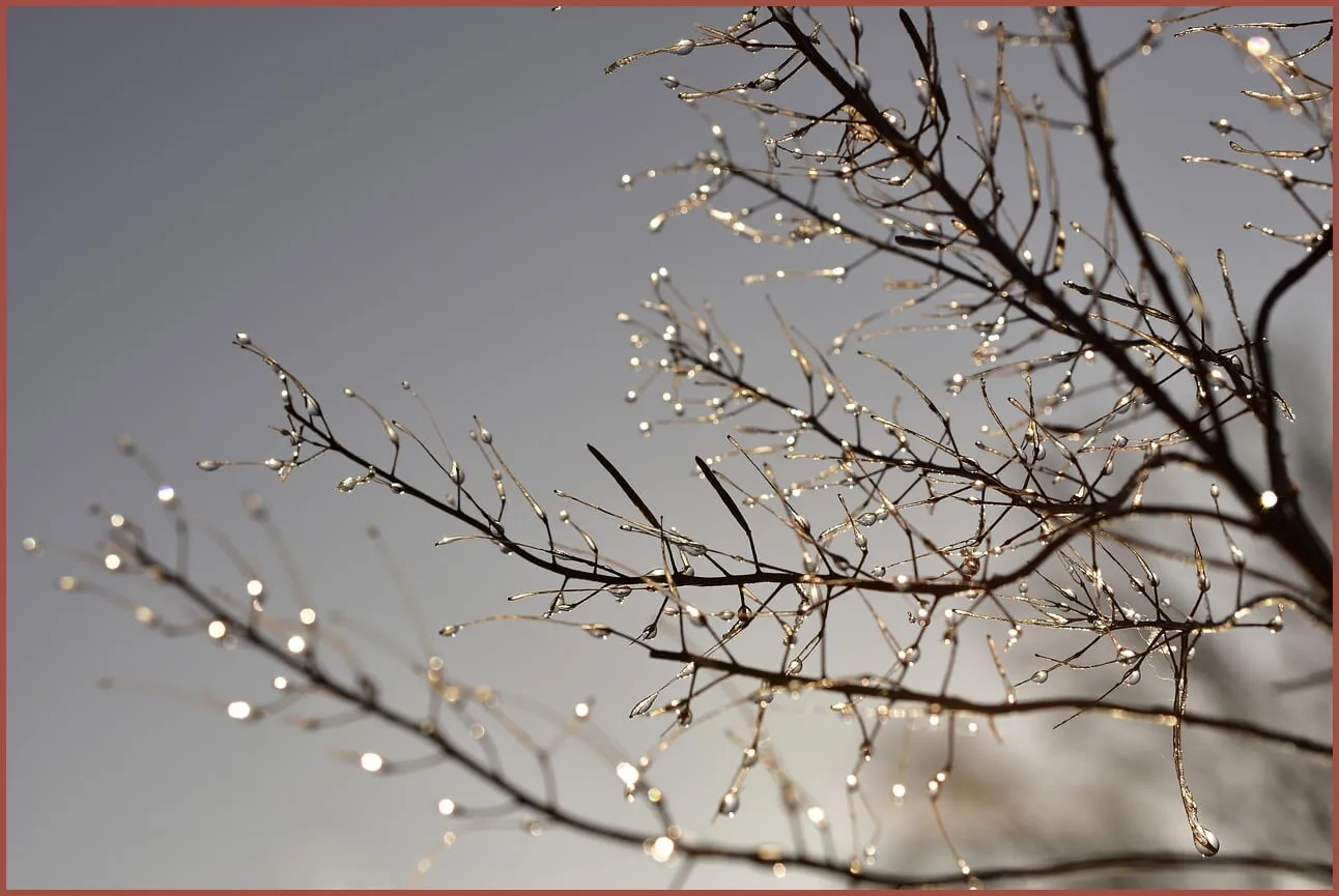 정기예금 이율높은곳