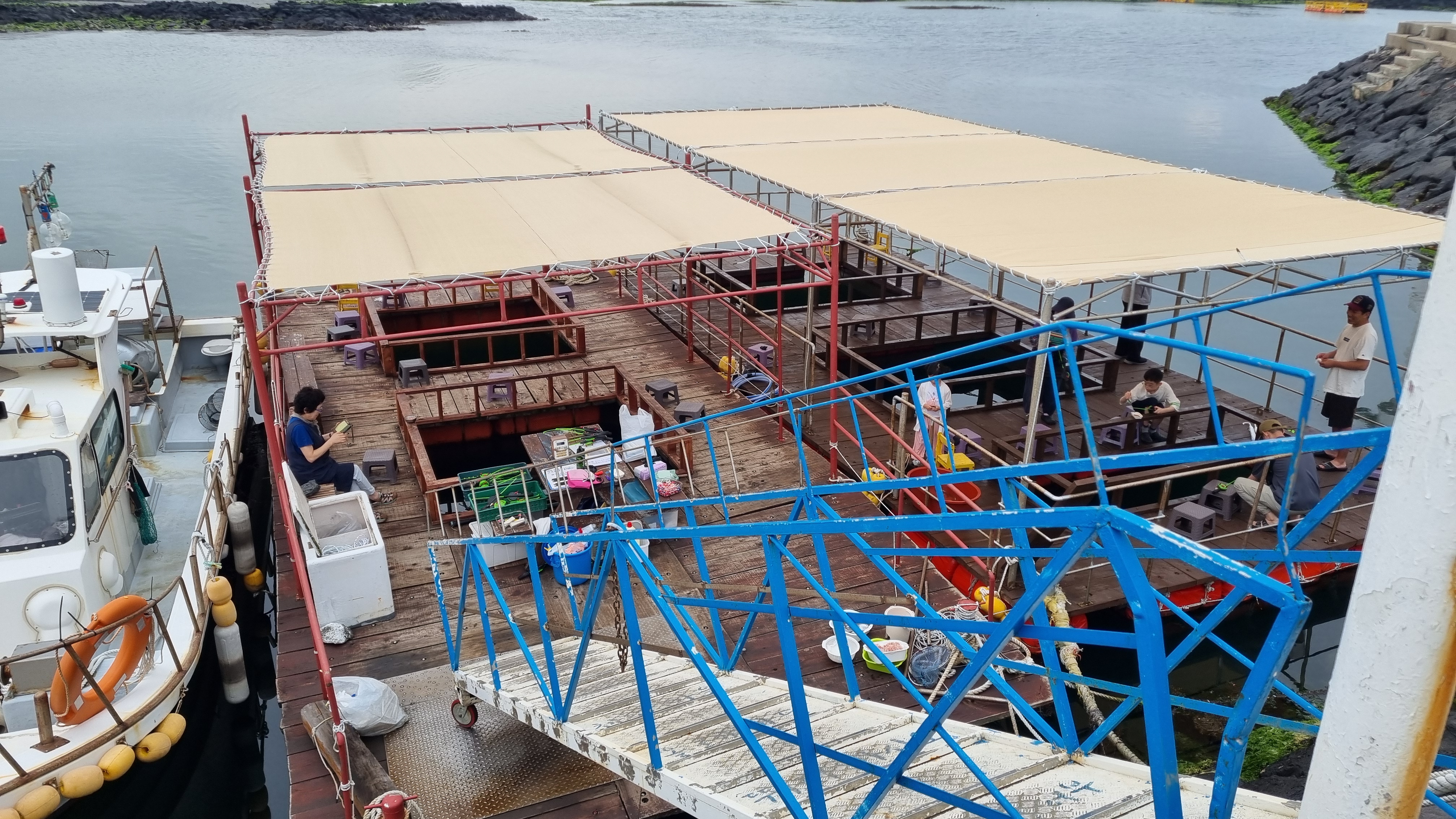 제주 어린이 낚시 체험 올레바당체험마을