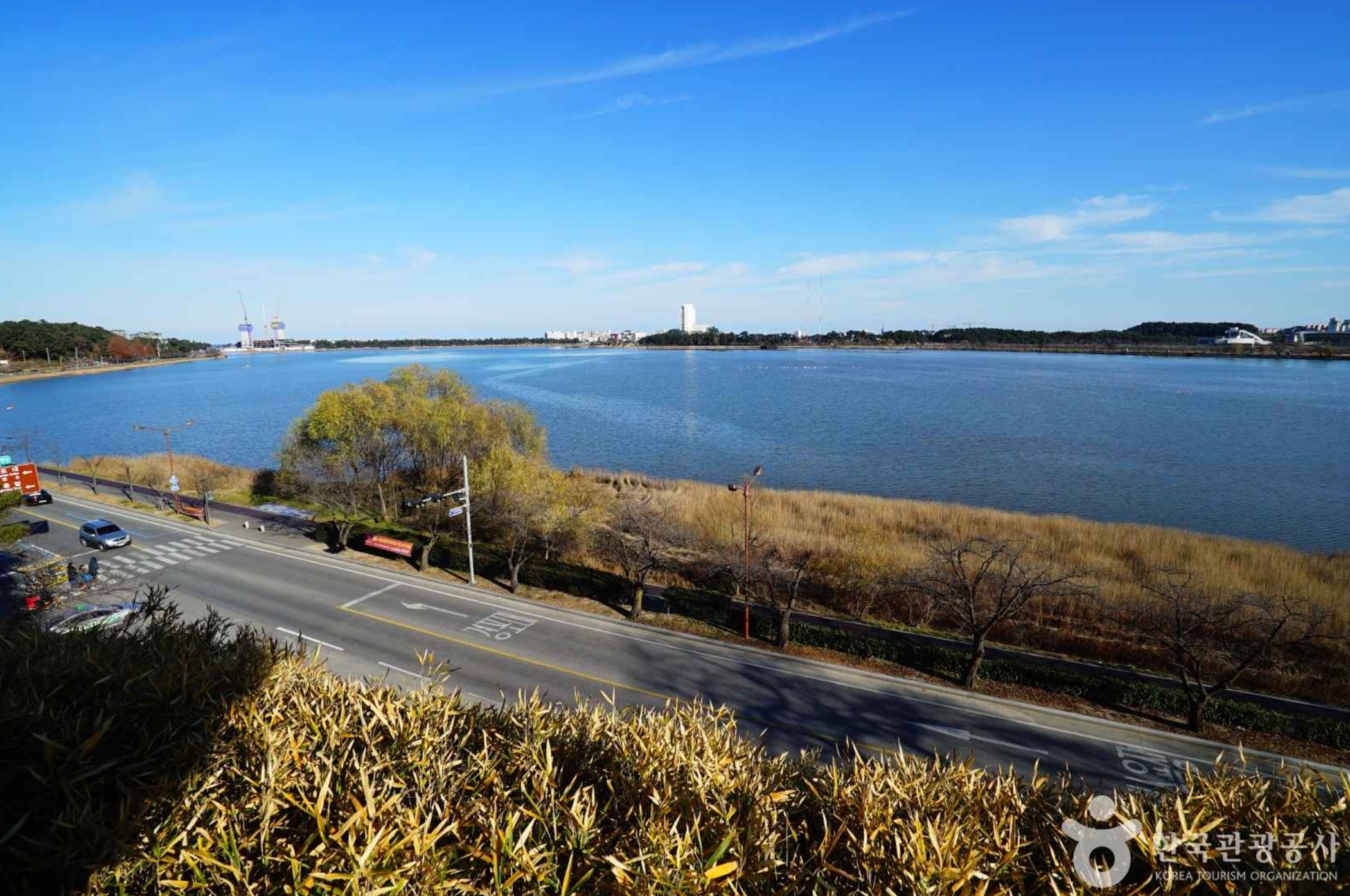 경포호-드라이브