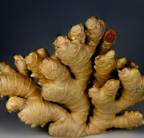 소화불량 위장 건강에 좋은 필수음식 TOP 6