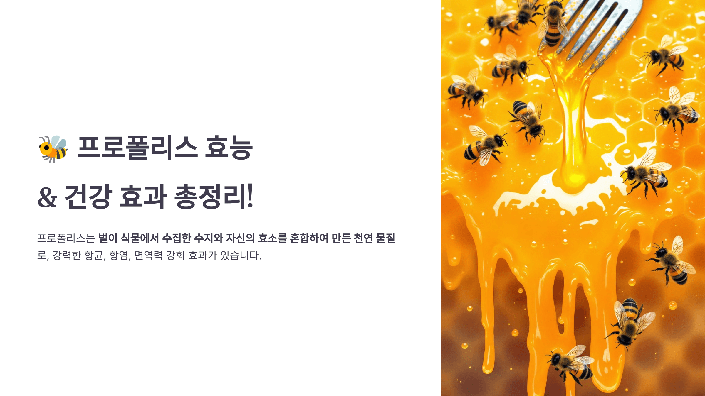 프로폴리스 사진입니다.