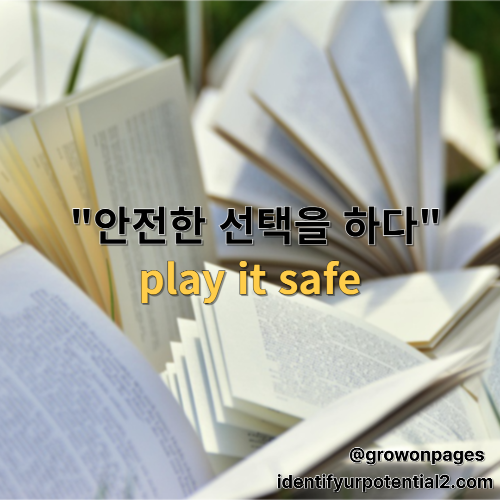 play it safe, 안전한 선택을 하다