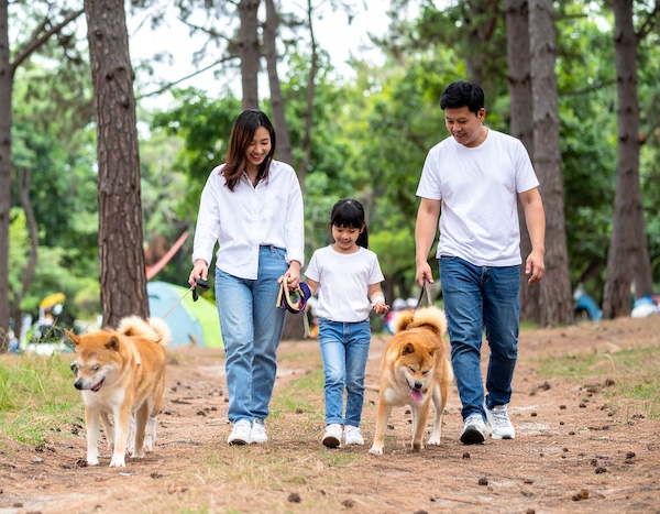 검마산자연휴양림에서 반려견과 산책하는 모습