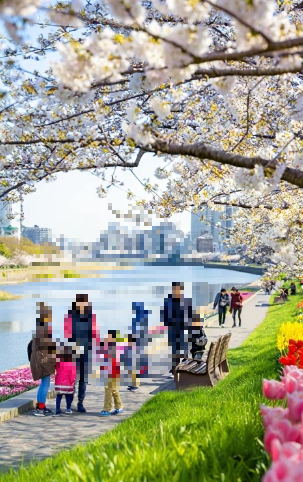 전남 6월 꽃 구경 가볼만한 곳&amp;#44; 축제&middot;여행 갈만한 곳 추천