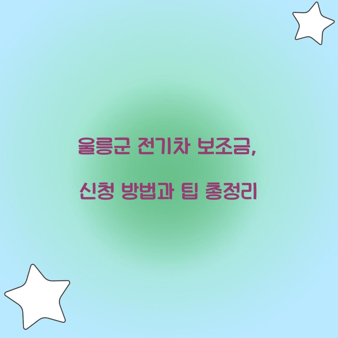 울릉군 전기차 보조금