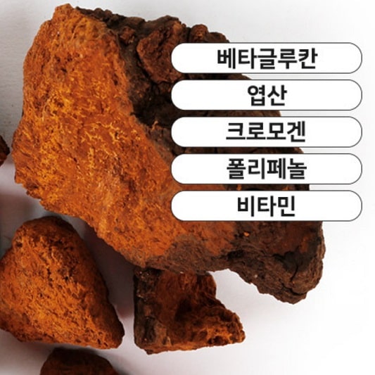 차가버섯 먹는법