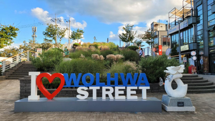 강릉 월화거리공원