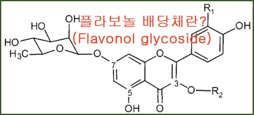 치매