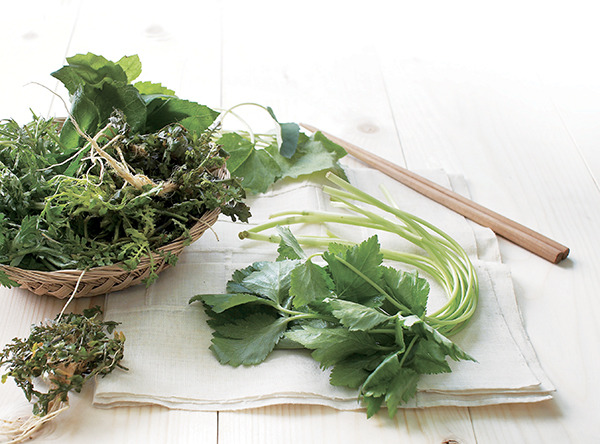 봄나물의 종류 사진