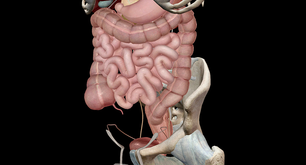 대장암 초기증상