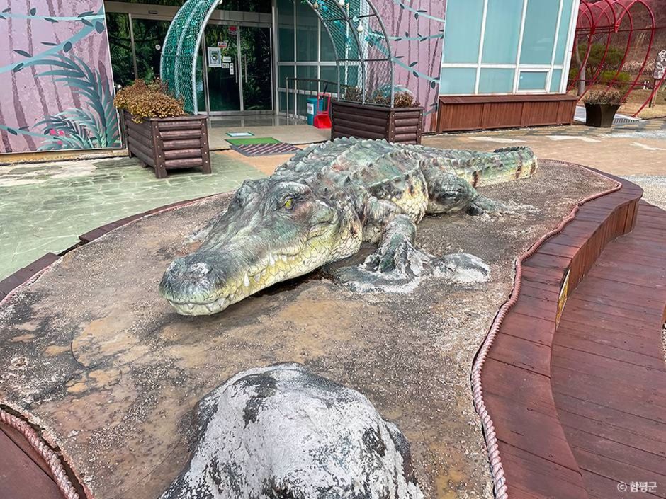 함평 가볼만한곳 베스트10